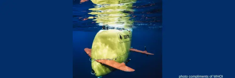 Photo of ROV Sentry just below the surface of the ocean. 
