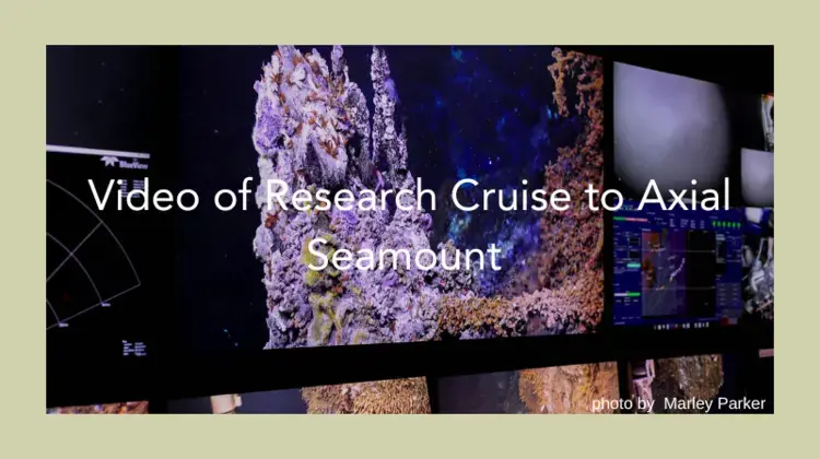 Picture of several video screens with images of the seamount on them. 